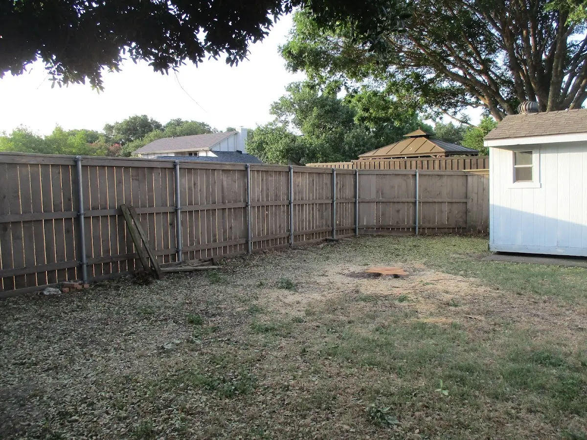Cleared yard after professional tree removal in Traver