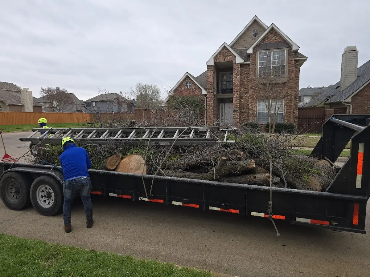 Expert Lot Clearing with proper safety equipment in Traver